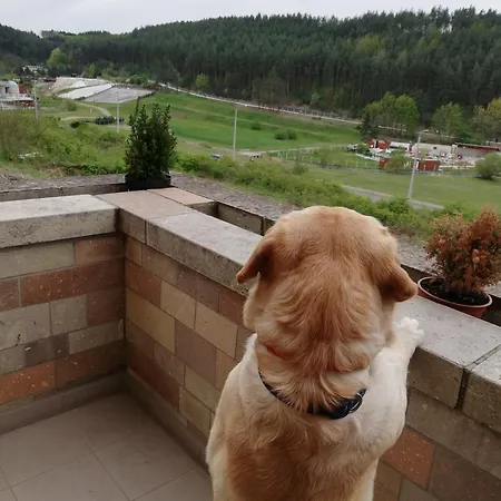 Chill Hill